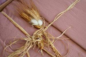 Постільна білизна бавовна La Maison Stonewashed 200 х 220 см Mariella Blush Постільна білизна бавовна La Maison Stonewashed 200 х 220 см Mariella Blush